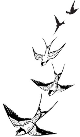 Ласточка тату эскиз