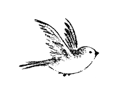 Птичка рисунок