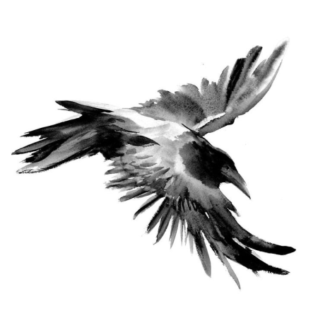 Птица в полете Графика