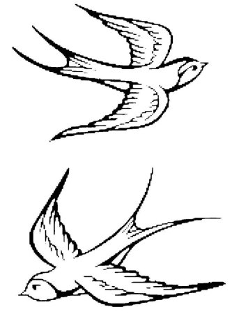 Ласточка раскраска