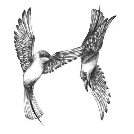Набросок птицы в полете
