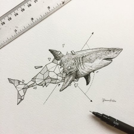 Акула рисунок фломастерами