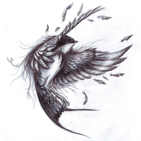 Эскизы птиц арт