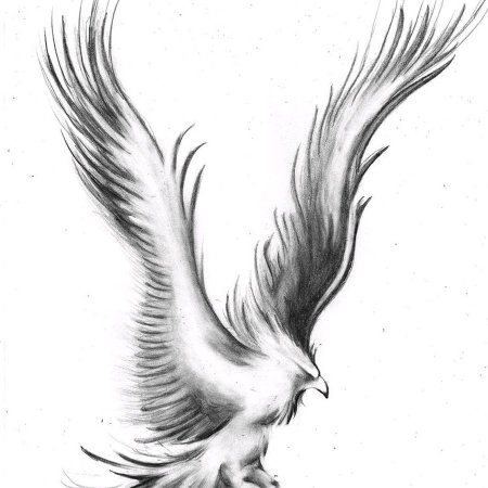 Птица эскиз