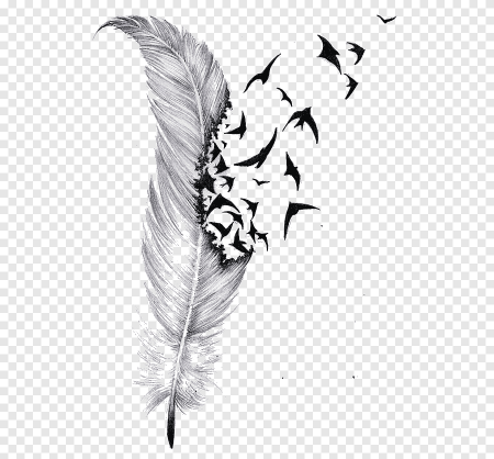 Тату перо эскизы для девушек