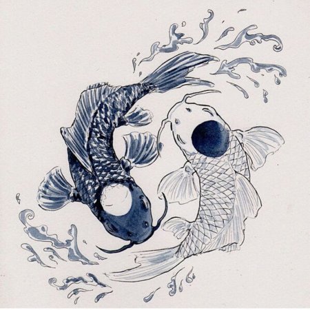 Японские карпы Инь Янь