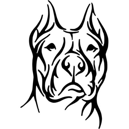 Морда собаки Графика