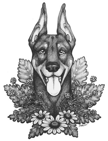 Тату эскизы Доберман эскизы