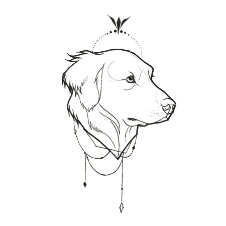 Эскиз морда собаки