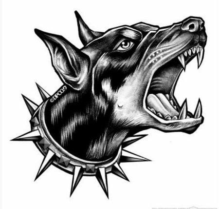 Тату собака Доберман