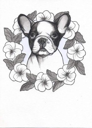 Тату собака эскизы