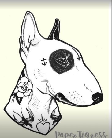 Тату бультерьер