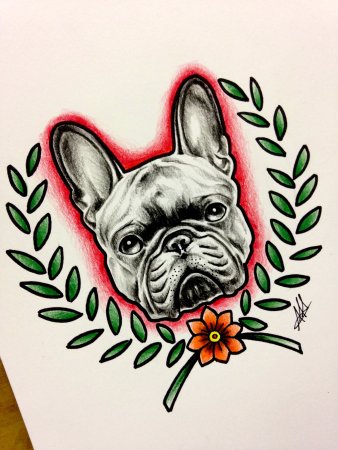 Нео традишнл французский бульдог