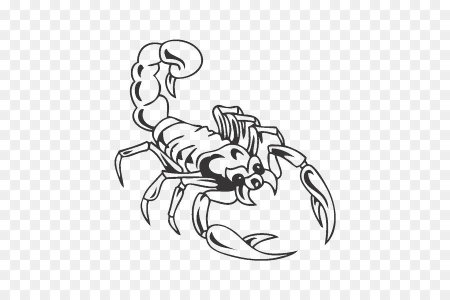 Скорпион черно белый