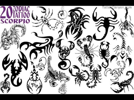 Маленькие рисунки для тату знаки зодиака