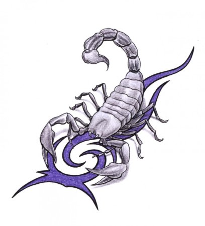 Кельтский Скорпион тату