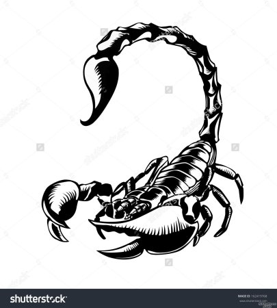 Тату Скорпион