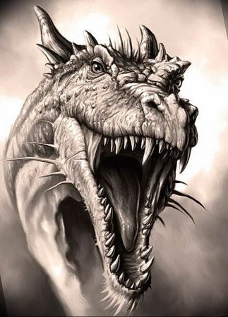 Дракон реализм