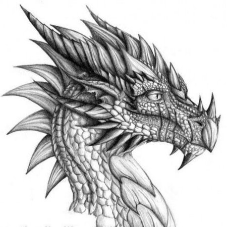 Морда дракона в профиль