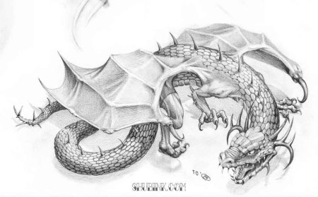 Спящий дракон тату эскиз