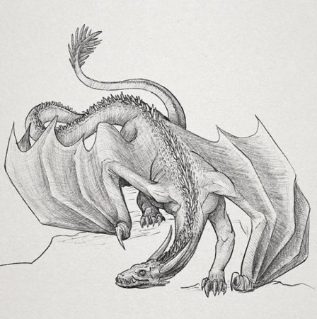 Венгерская хвосторога дракон тату эскиз