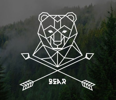 Медведь геометрия эскиз