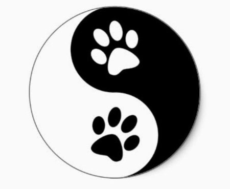 Лапки для срисовки