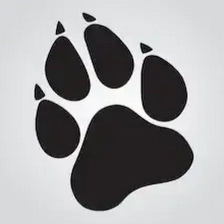 Отпечаток лапы собаки