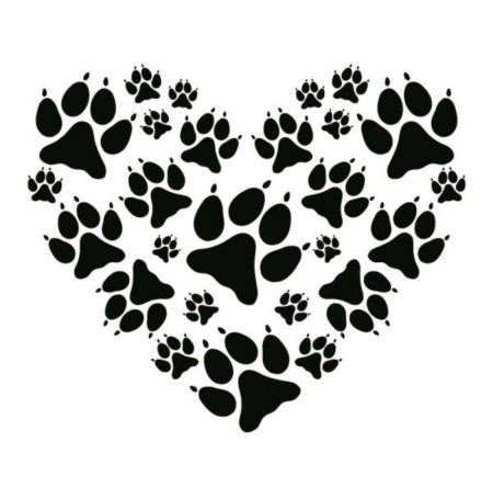 Кошачьи и собачьи следы