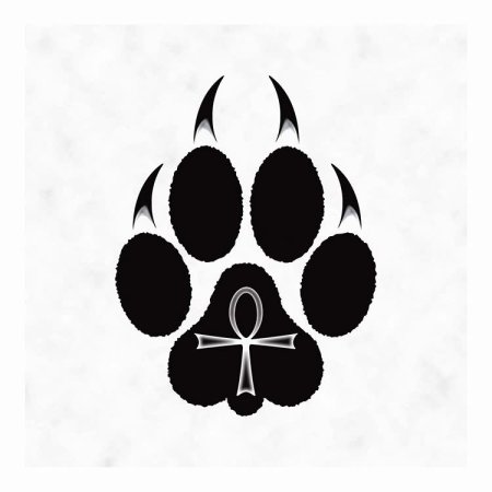 Отпечаток лапы волка