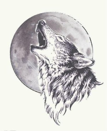 Тату волк воет на луну