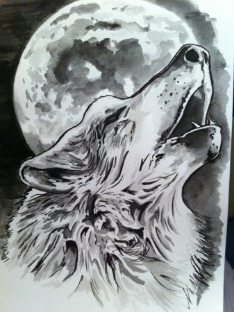Воющий волк тату эскиз