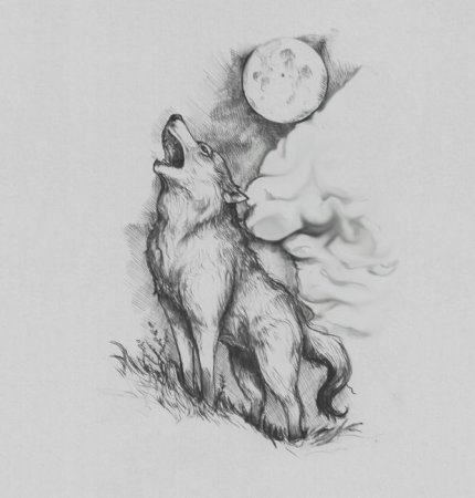 Волк воющий на луну ч/б