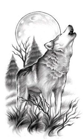 Силуэт волка на фоне Луны