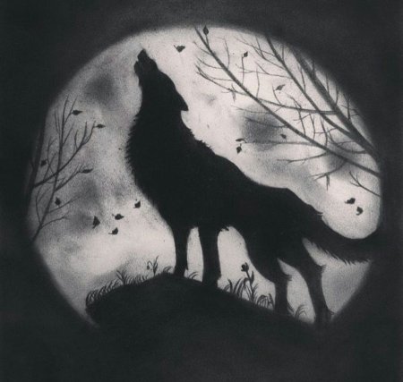 Силуэт волка воющего на луну