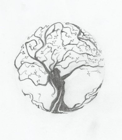 Тату дерево с корнями в кругу