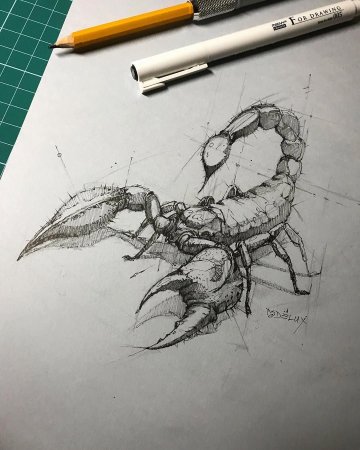 Скорпион эскиз