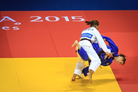 Татами для дзюдо