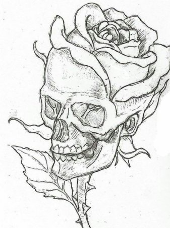 Эскизы рисунков