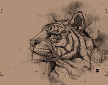 Тигр эскиз