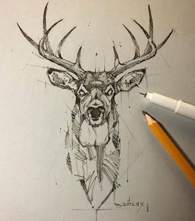 Скетч тату олень