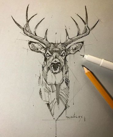Скетч тату олень