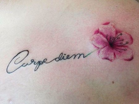 Carpe Diem надпись