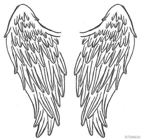 Крылья контур