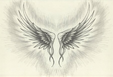 Черно белые Крылья