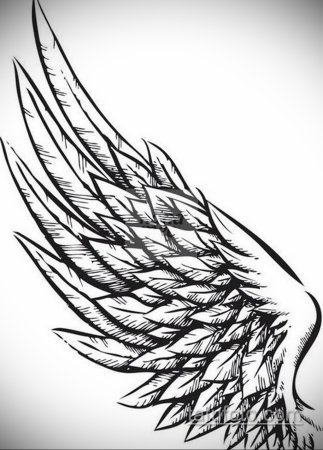 Крылья бабочки тату