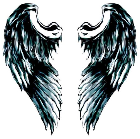 Крылья карандашом