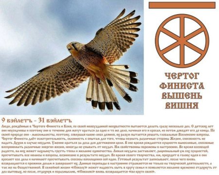Бог покровитель Вышень чертог Финиста