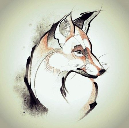 Лисы в графике