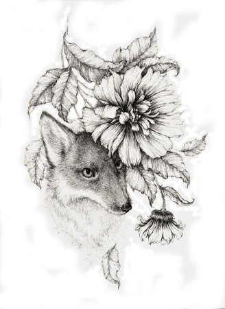 Графика (лиса)